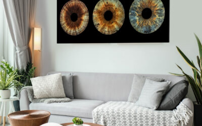 Decoración salón