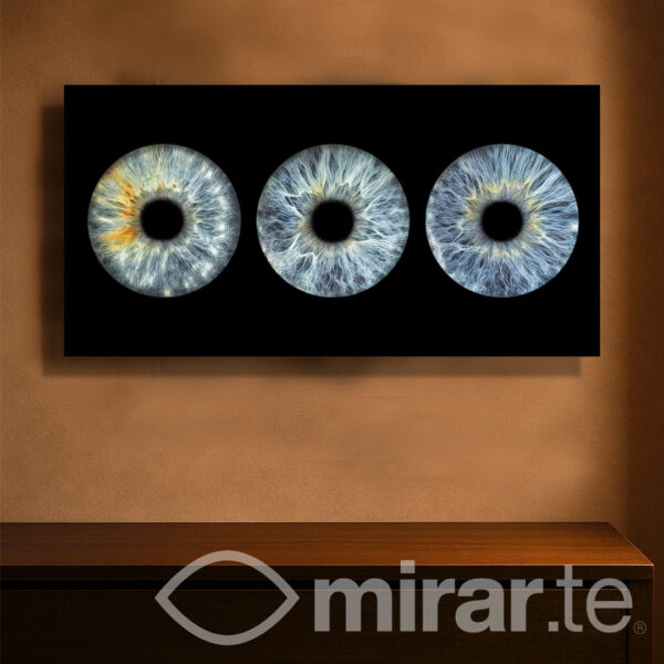 Cuadro con 3 iris colgado sobre una pared de un comedor acogedor con mucha luminosidad