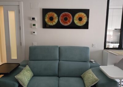 Cuadro familiar de iris en aluminio Dibond en salón moderno | mirar.te Madrid
